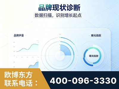 临沧-品牌现状诊断